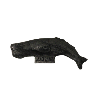 Magnético Cachalote