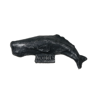 Magnético Cachalote