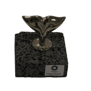 Cauda de Baleia no Basalto