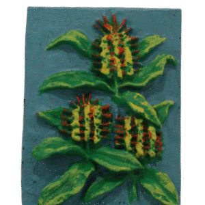 Magnético Conteiras