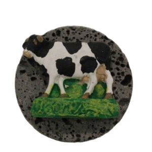 Magnético Vaca em Basalto