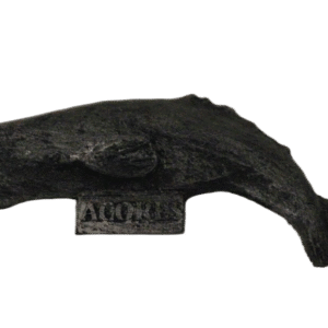 Magnético Cachalote